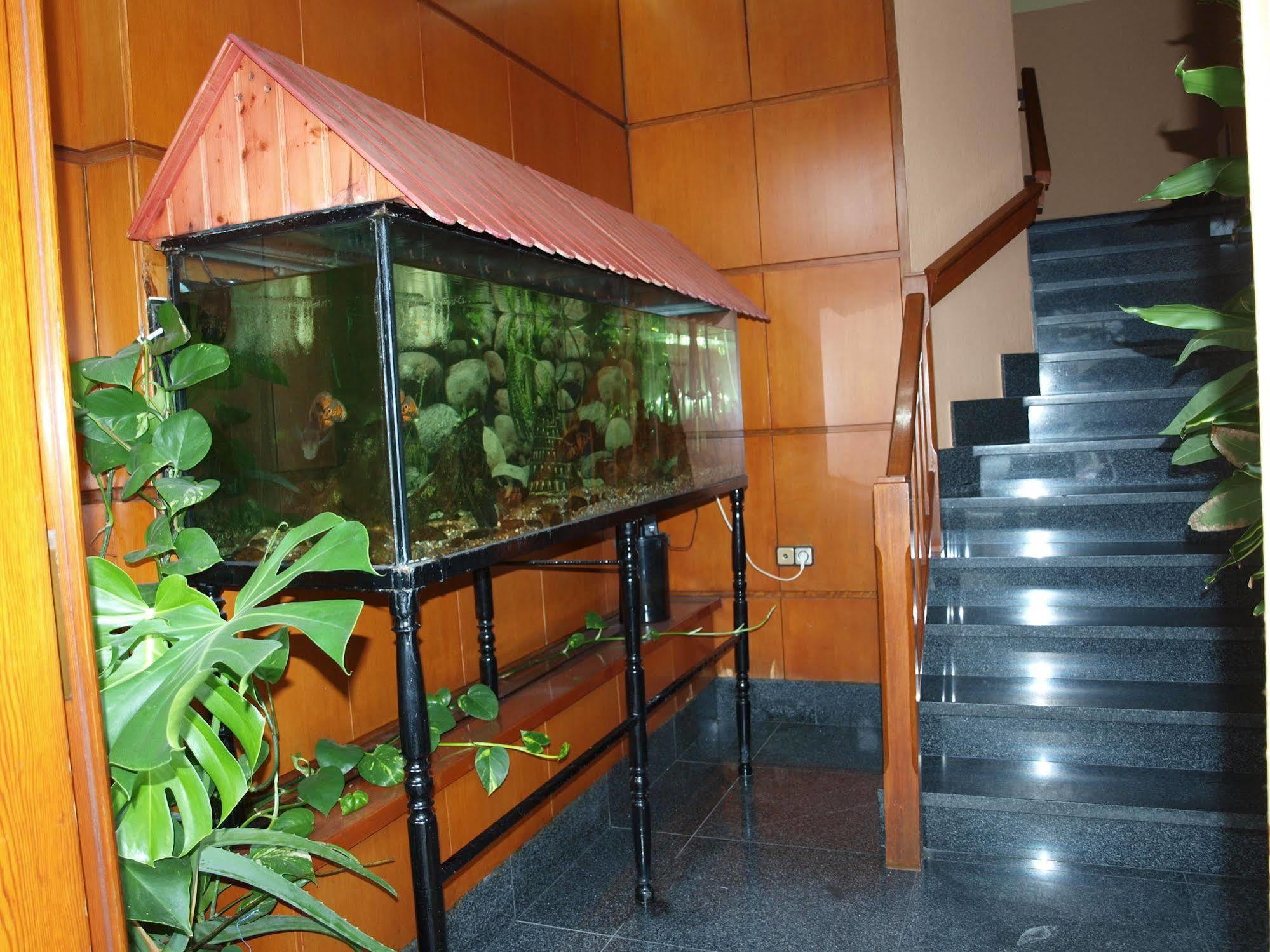 Hotel Francisco Javier โอโกรูญา ภายนอก รูปภาพ